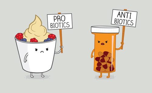 Fight C Diff with Probiotics
